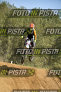333 · DSH_8641