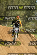333 · DSH_8644