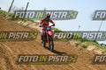 93 · DSH_8771