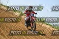 93 · DSH_8775