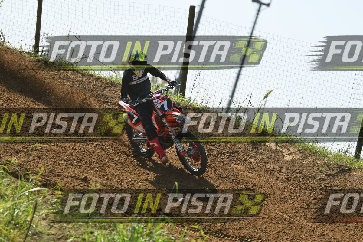 7 · DSH_8781