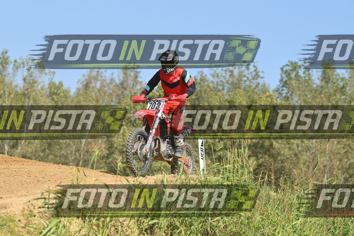 703 · DSH_8822