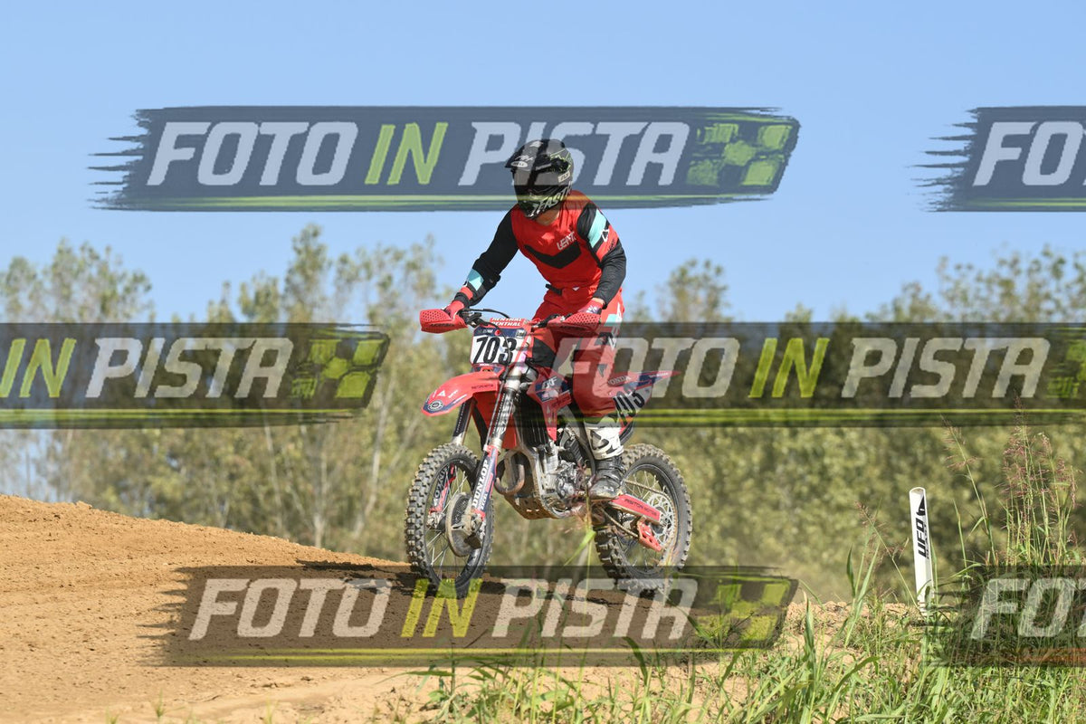 703 · DSH_8823