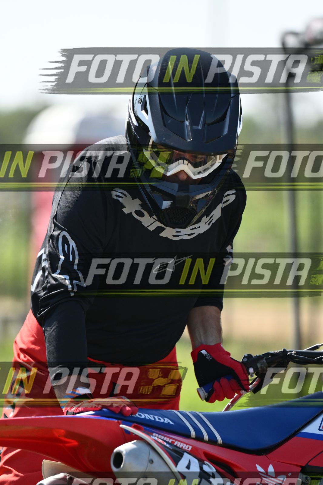 PADDOCK · DSH_8849