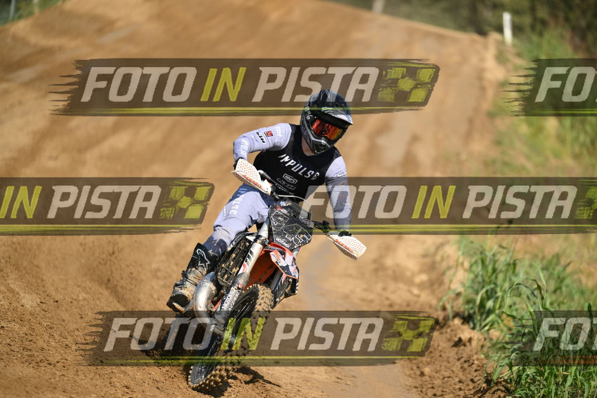 545 · DSH_8959