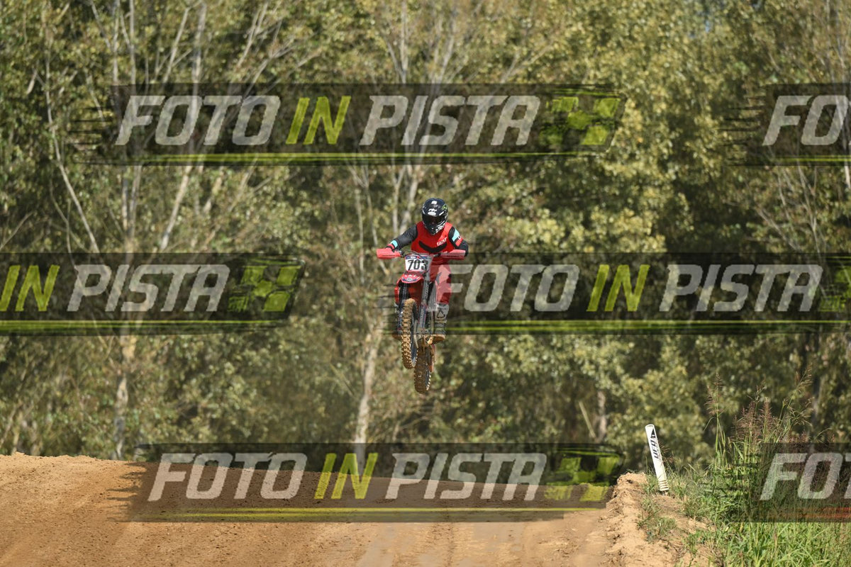 703 · DSH_8963