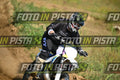WHITE HUSW THYRUS · DSH_8997