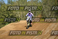 99 · DSH_9031