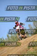 HONDA - PINK WHITE BLACK SHIRT · DSH_9112