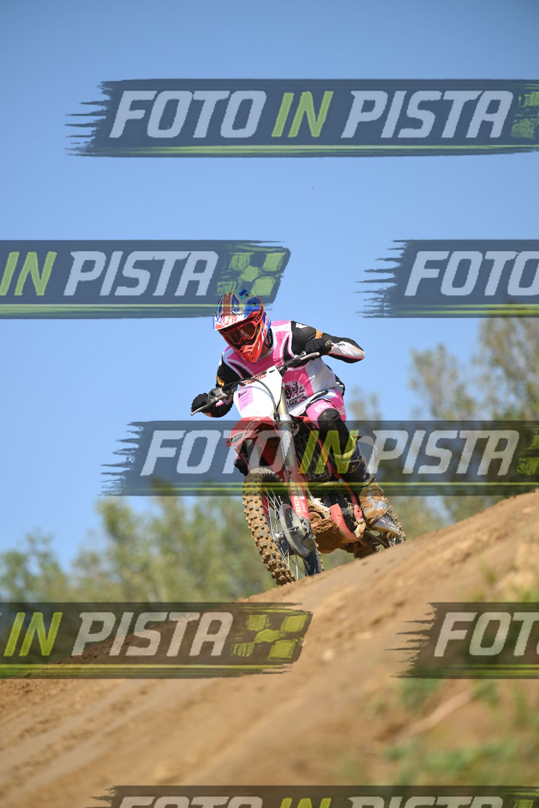 HONDA - PINK WHITE BLACK SHIRT · DSH_9112