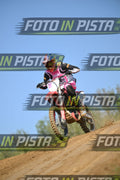 HONDA - PINK WHITE BLACK SHIRT · DSH_9114