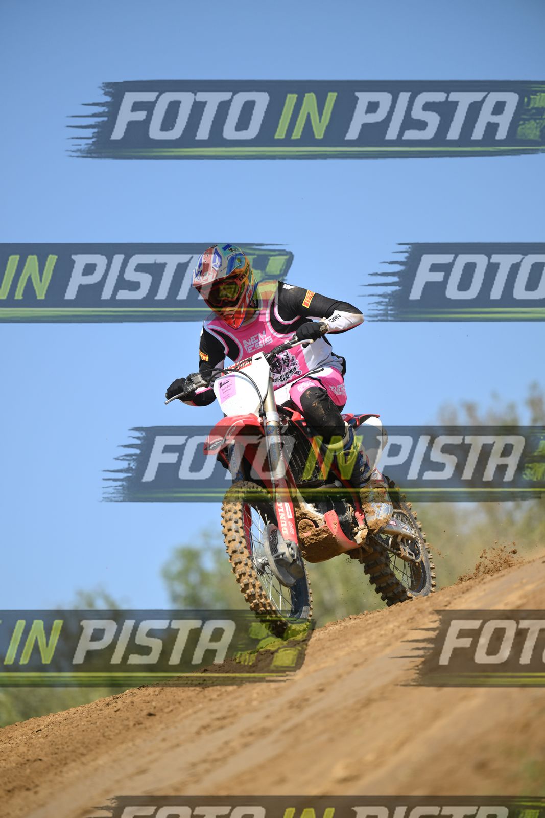 HONDA - PINK WHITE BLACK SHIRT · DSH_9114