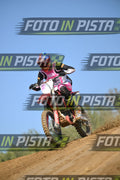 HONDA - PINK WHITE BLACK SHIRT · DSH_9115