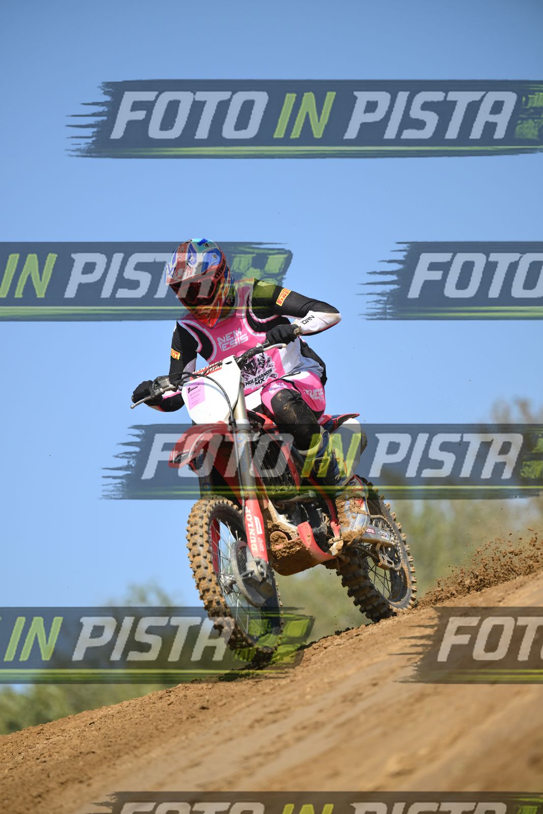 HONDA - PINK WHITE BLACK SHIRT · DSH_9115