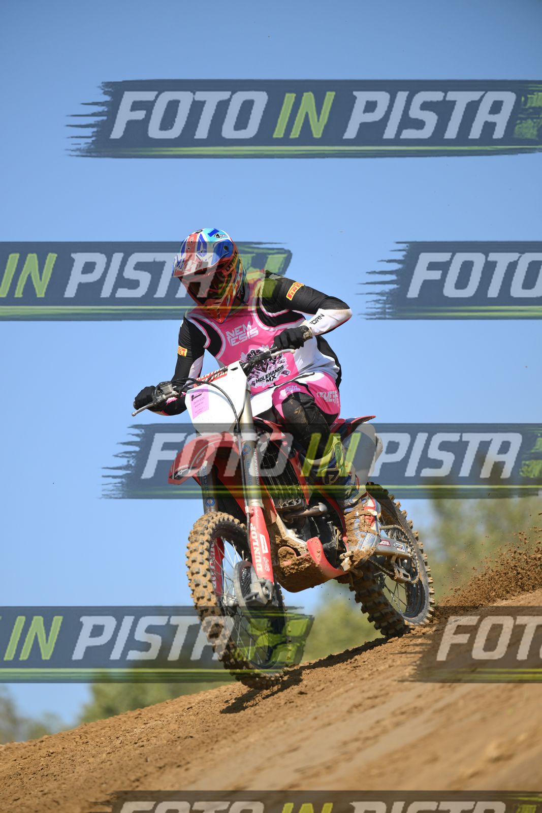 HONDA - PINK WHITE BLACK SHIRT · DSH_9116