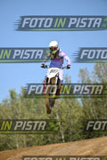 99 · DSH_9123