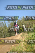 KTM - PINK WHITE SHIRT · DSH_9135