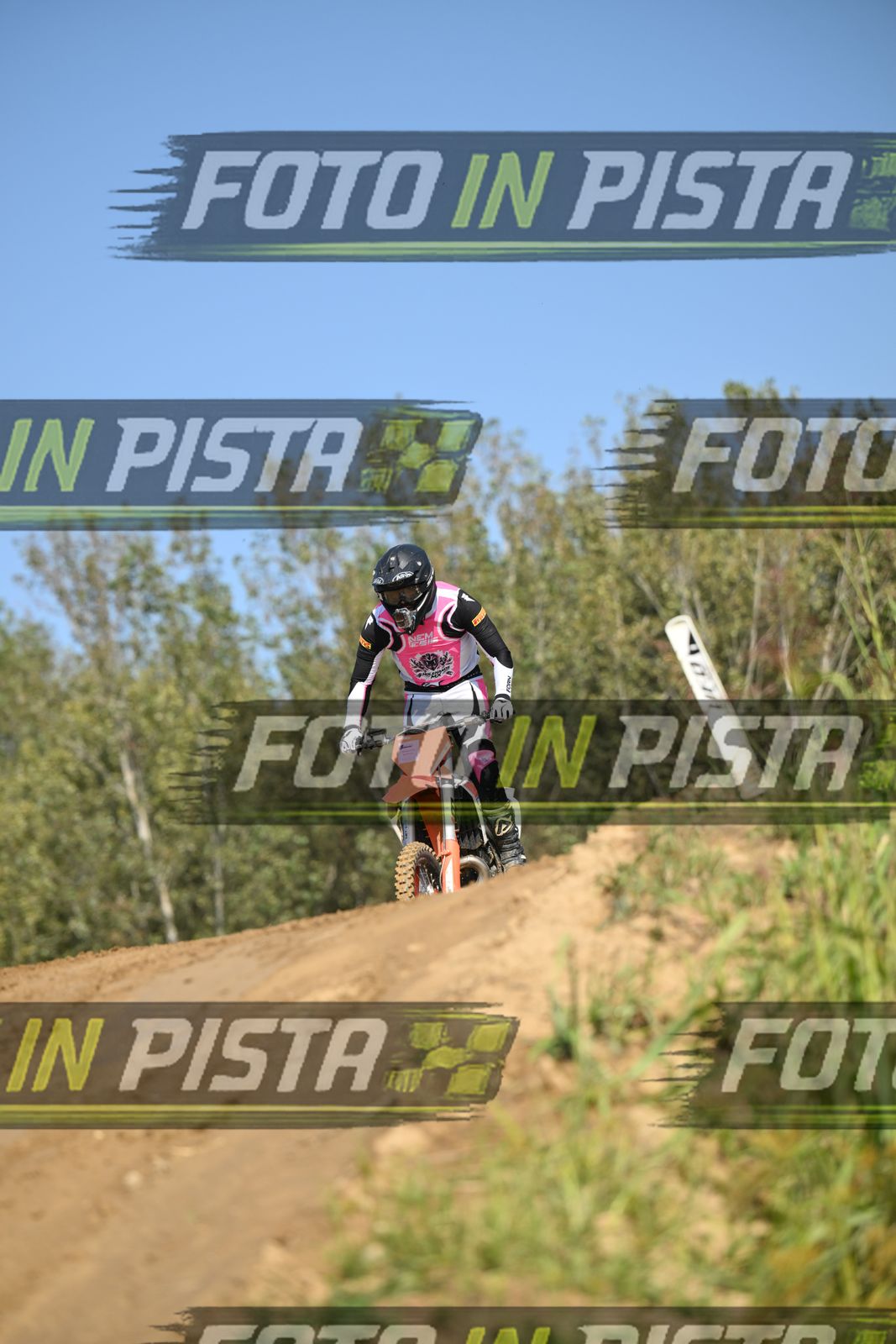 KTM - PINK WHITE SHIRT · DSH_9136
