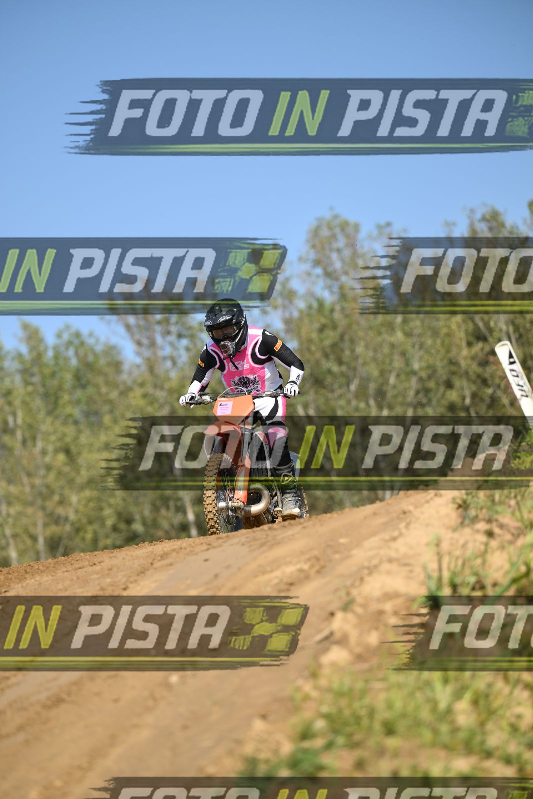 KTM - PINK WHITE SHIRT · DSH_9137