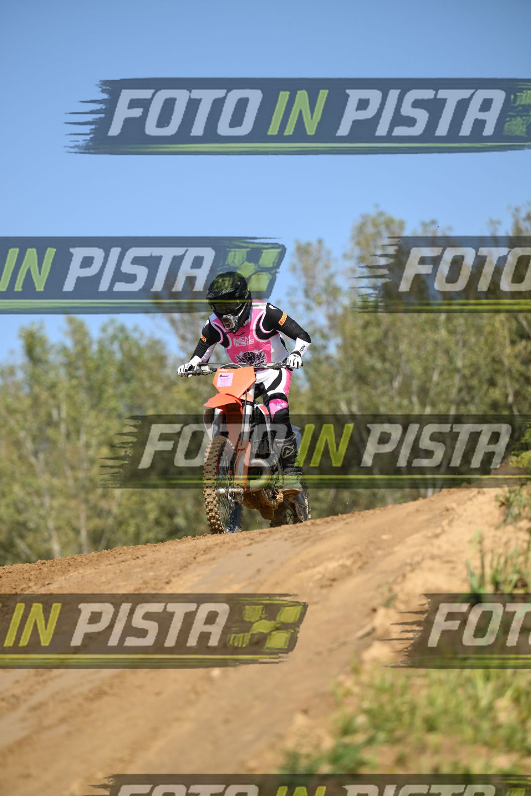 KTM - PINK WHITE SHIRT · DSH_9138
