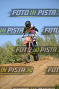 KTM - PINK WHITE SHIRT · DSH_9140