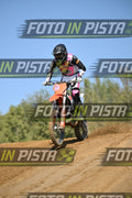 KTM - PINK WHITE SHIRT · DSH_9141