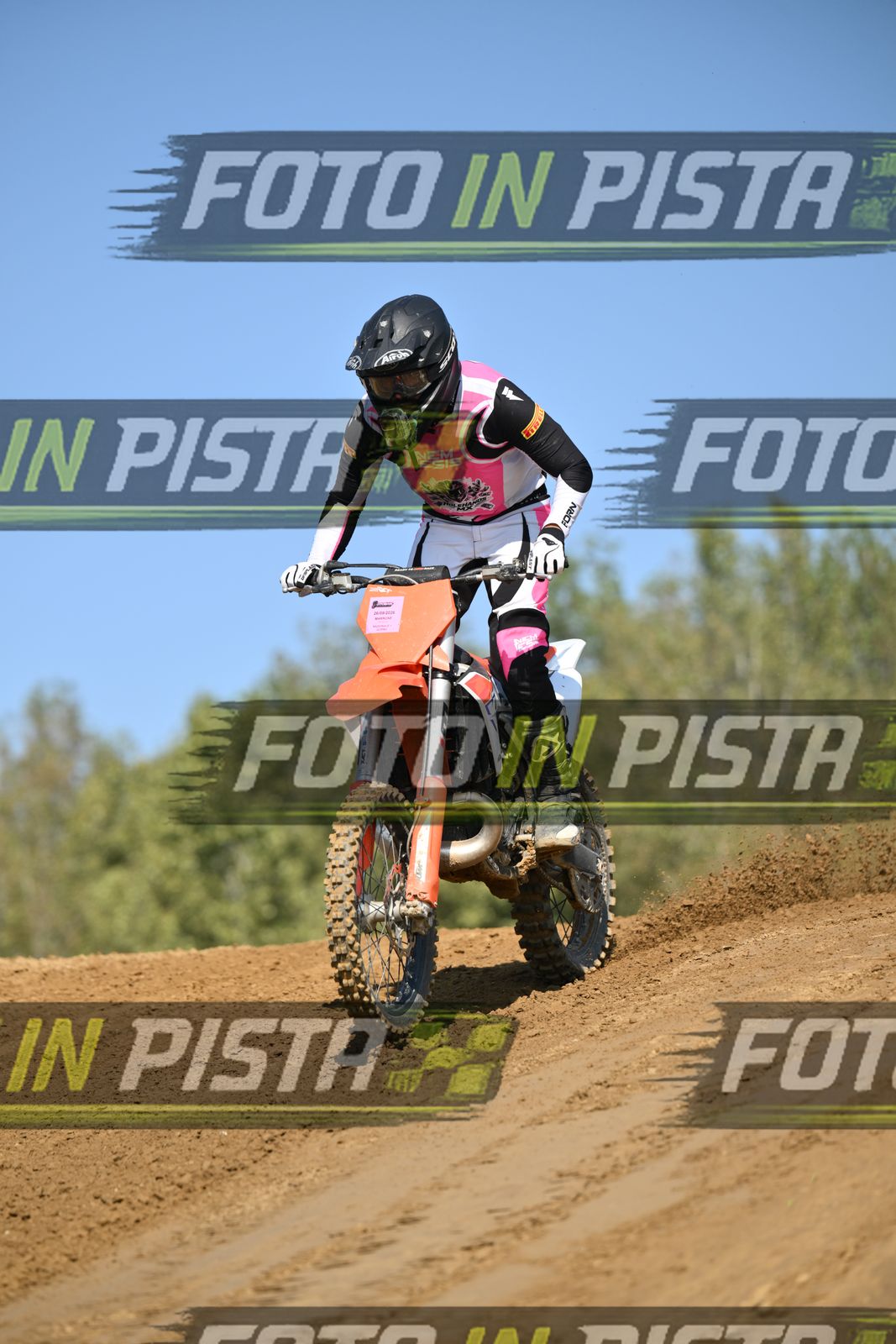KTM - PINK WHITE SHIRT · DSH_9142