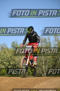 432 · DSH_9169