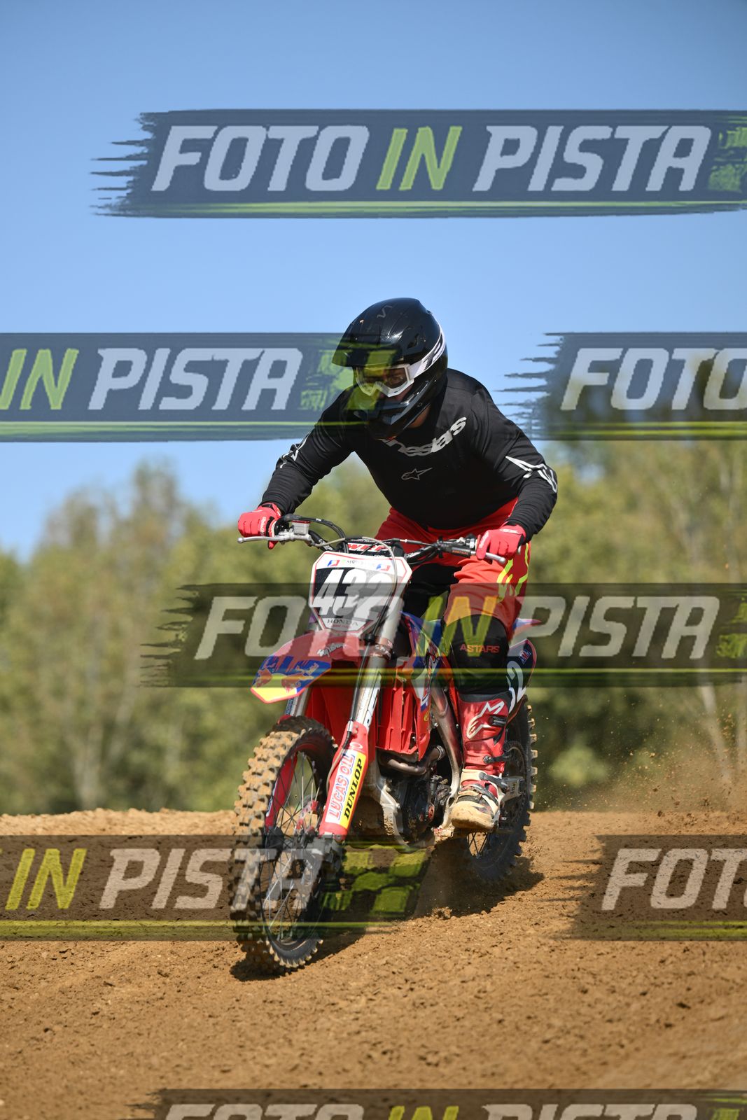 432 · DSH_9172