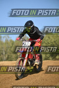 432 · DSH_9173