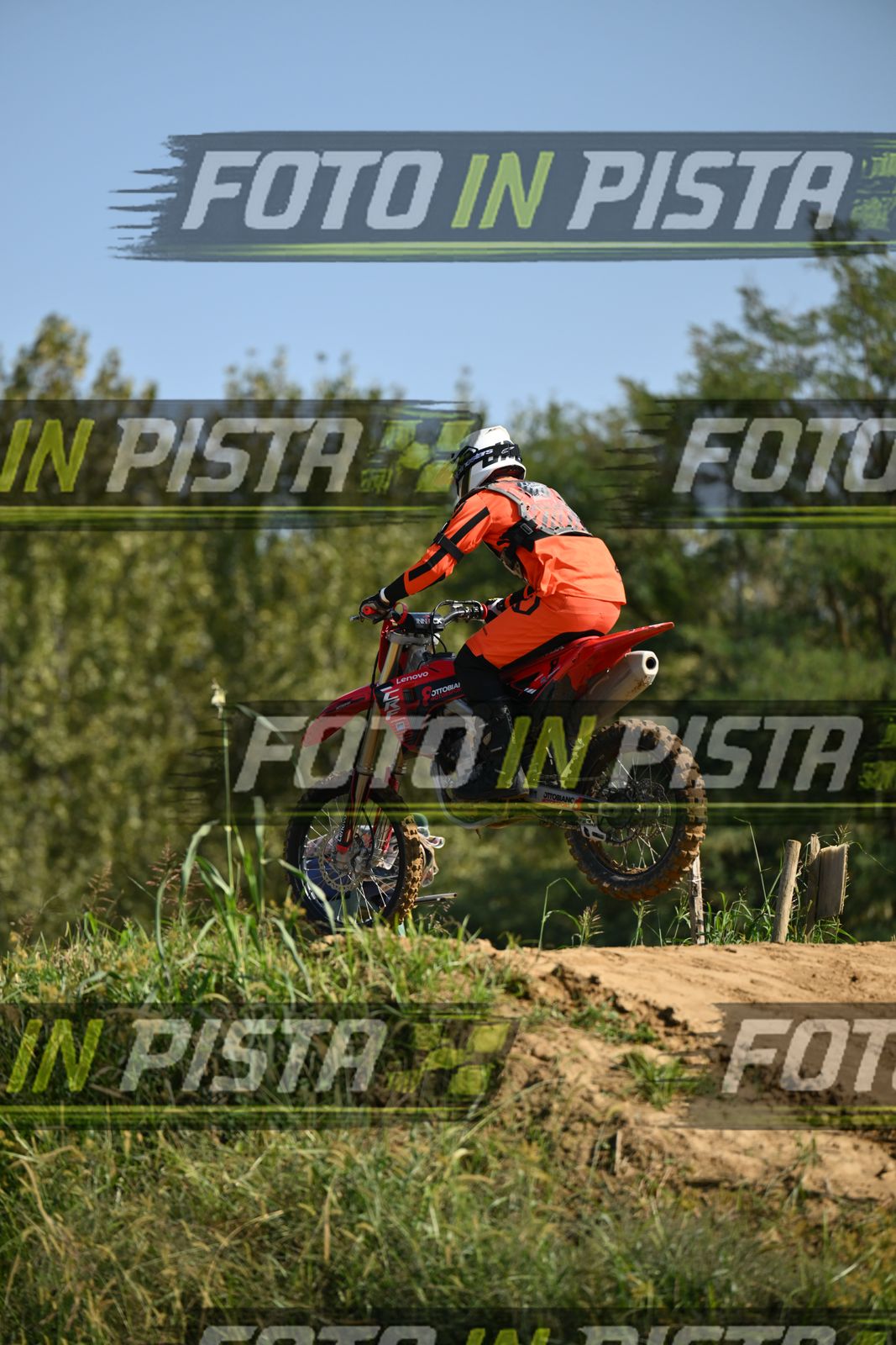 RENT - ORANGE BLACK SHIRT · DSH_9177
