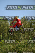 239 · DSH_9196
