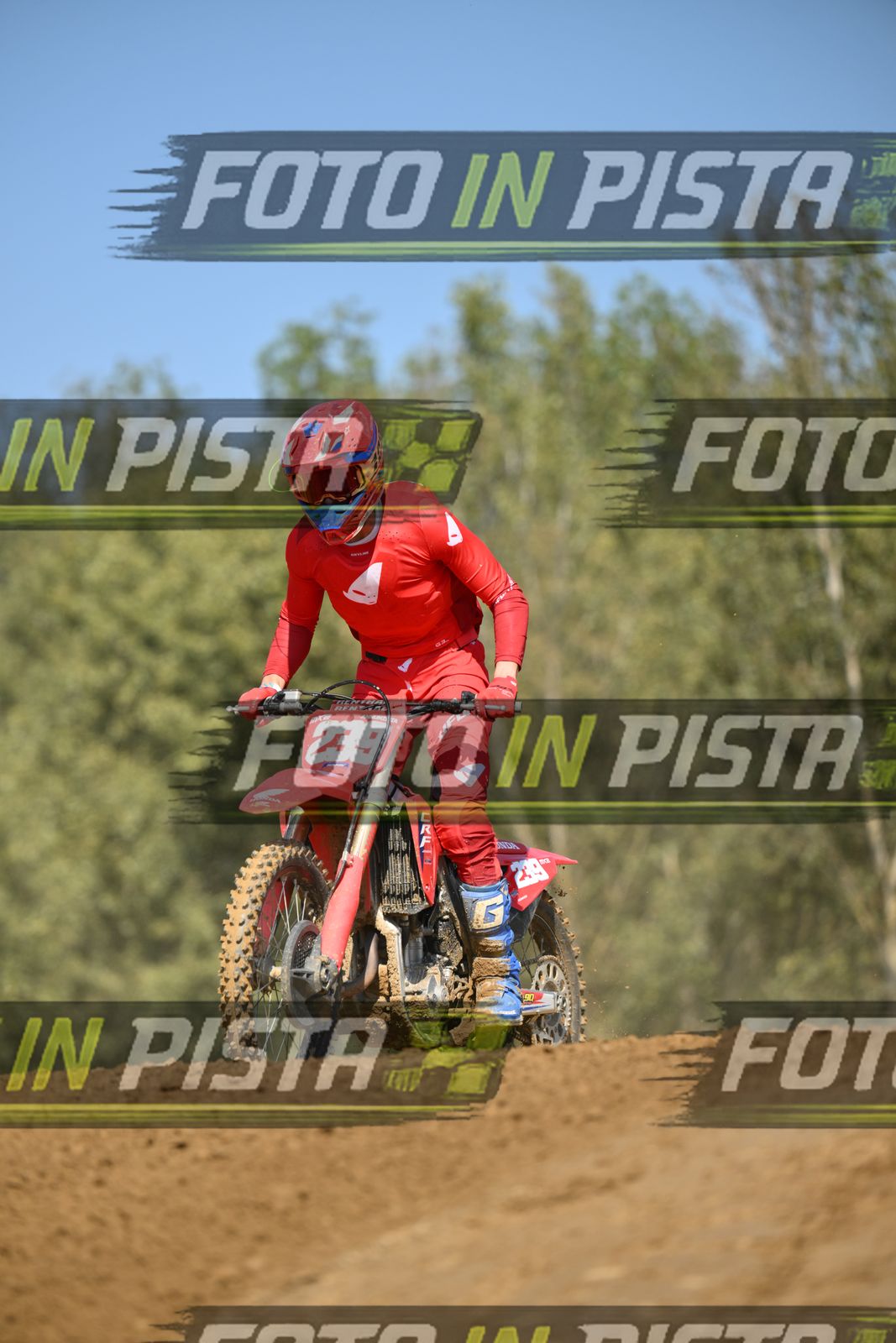 239 · DSH_9214