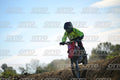 241 · DSH_9260