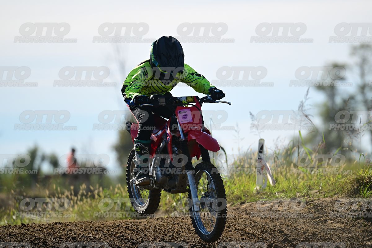 241 · DSH_9281