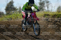 241 · DSH_9282