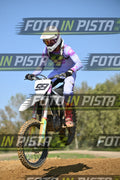 99 · DSH_9290