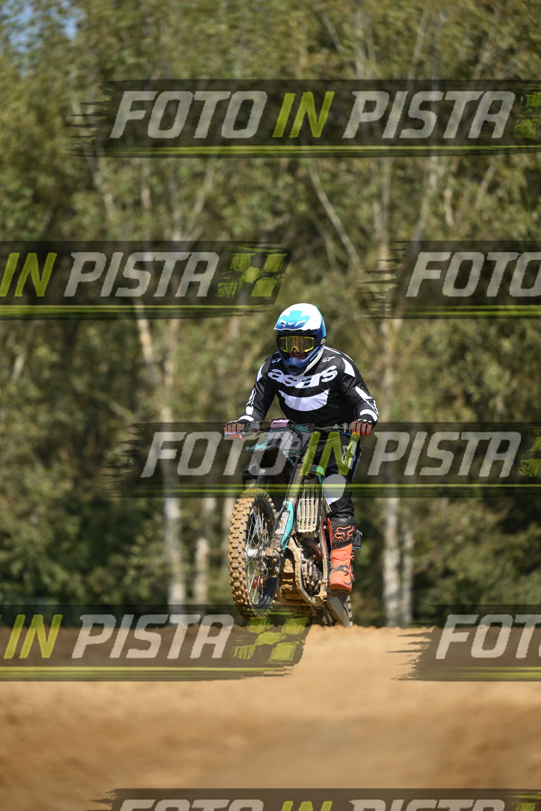 178 · DSH_9293