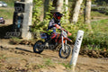 105 · DSH_9296