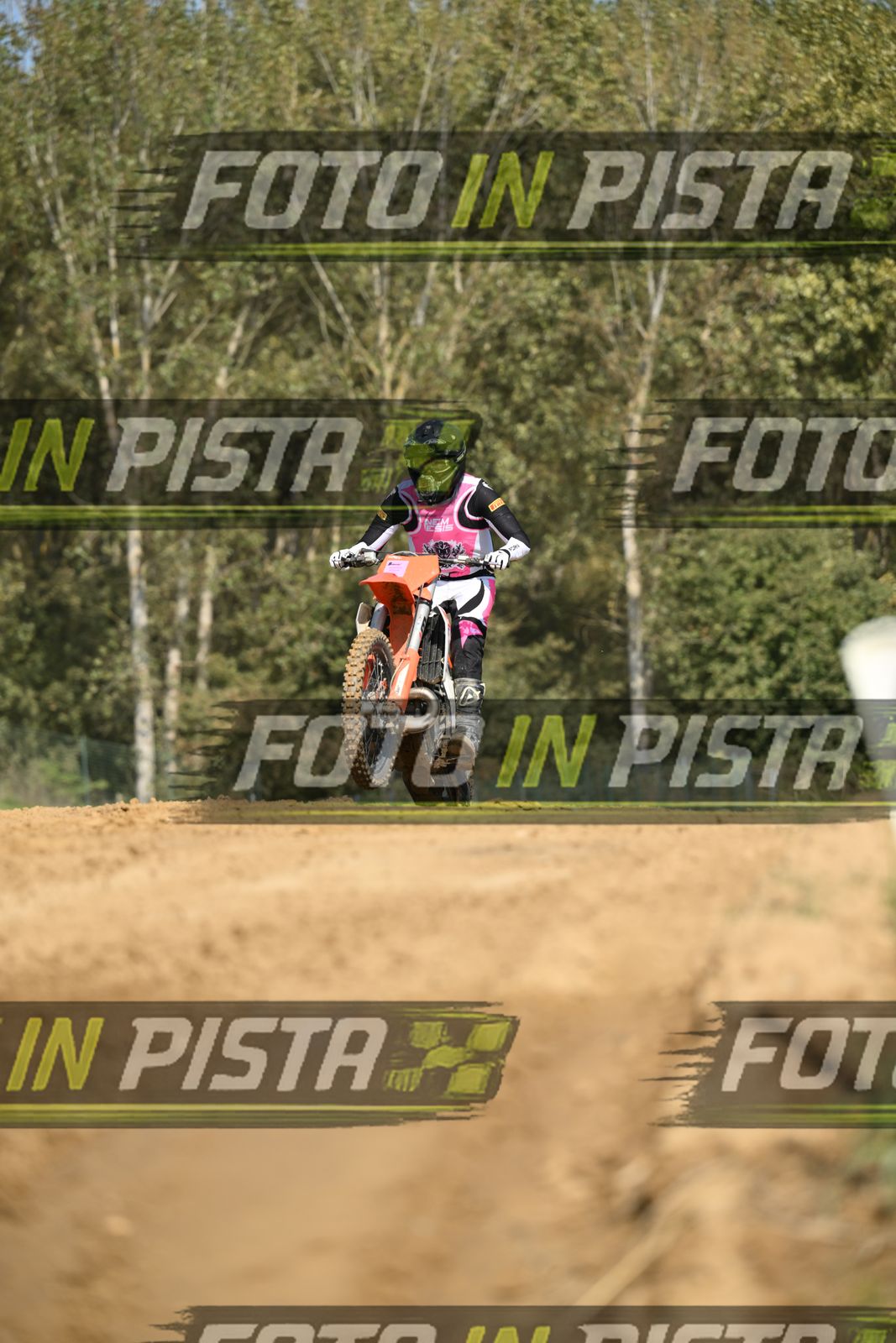 KTM - PINK WHITE SHIRT · DSH_9303