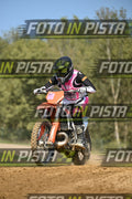KTM - PINK WHITE SHIRT · DSH_9314