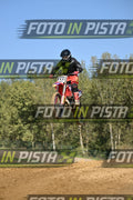 432 · DSH_9331