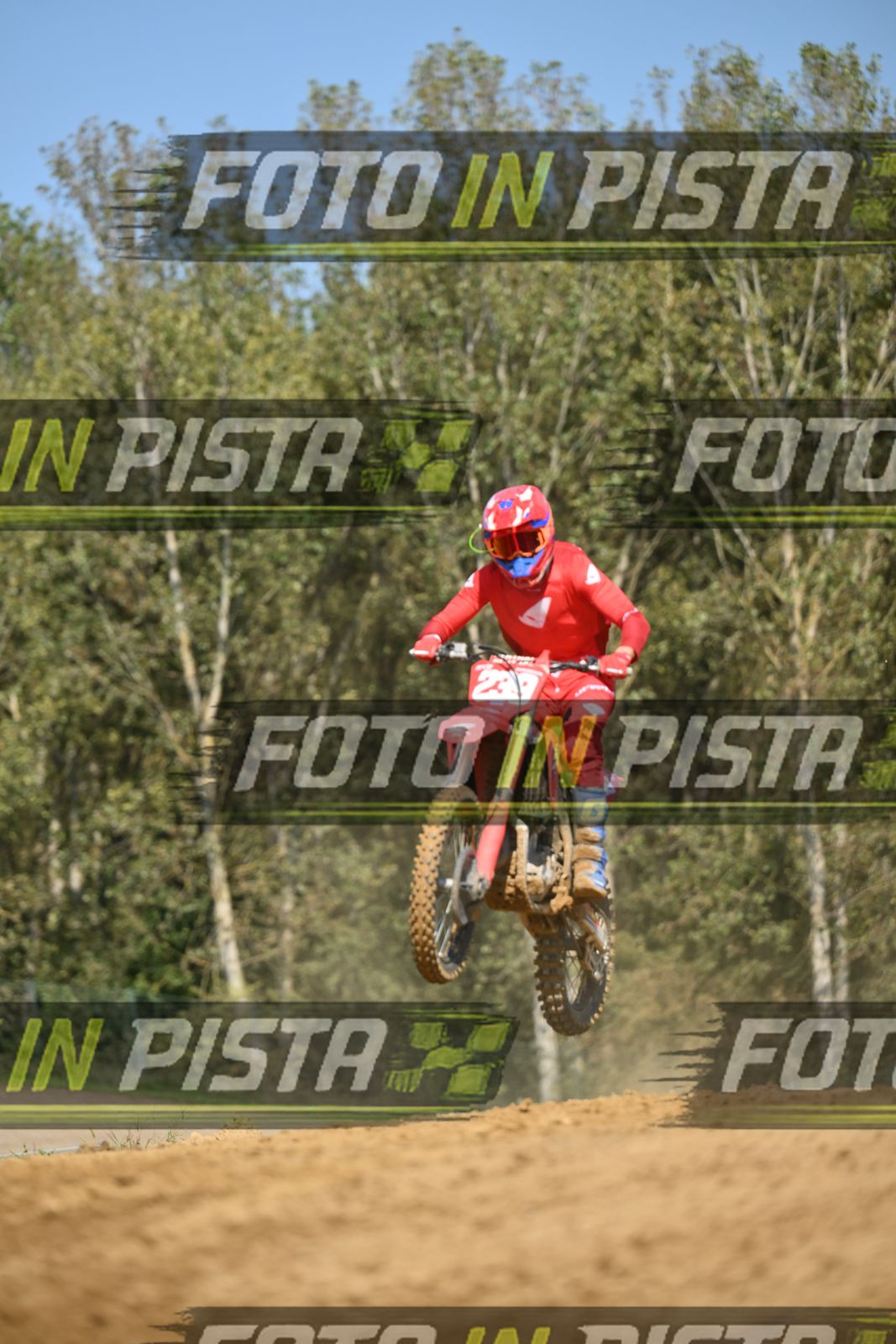 239 · DSH_9344