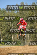 239 · DSH_9345
