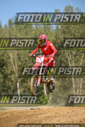 239 · DSH_9348
