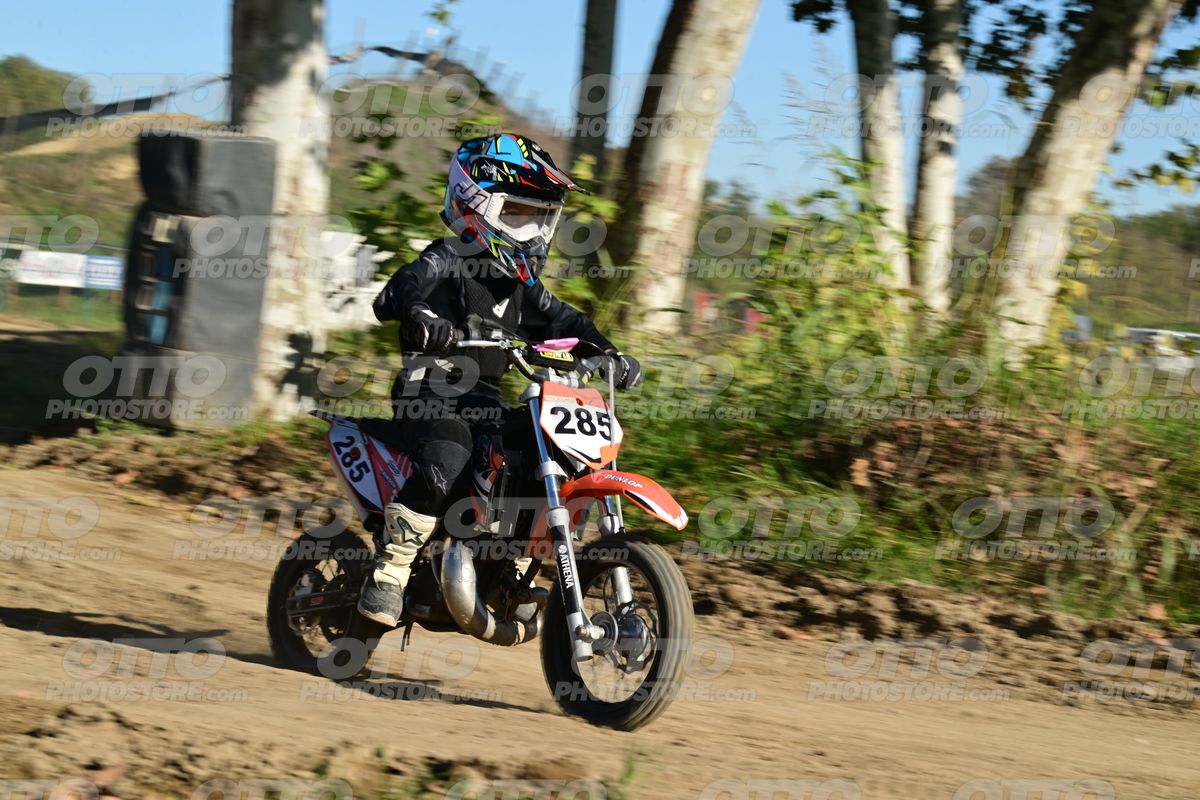 285 · DSH_9362