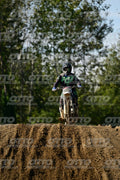 185 · DSH_9435
