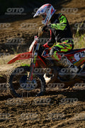 77 · DSH_9445