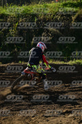 77 · DSH_9449