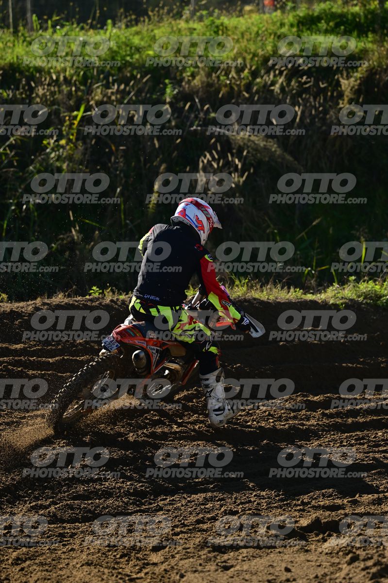 77 · DSH_9449